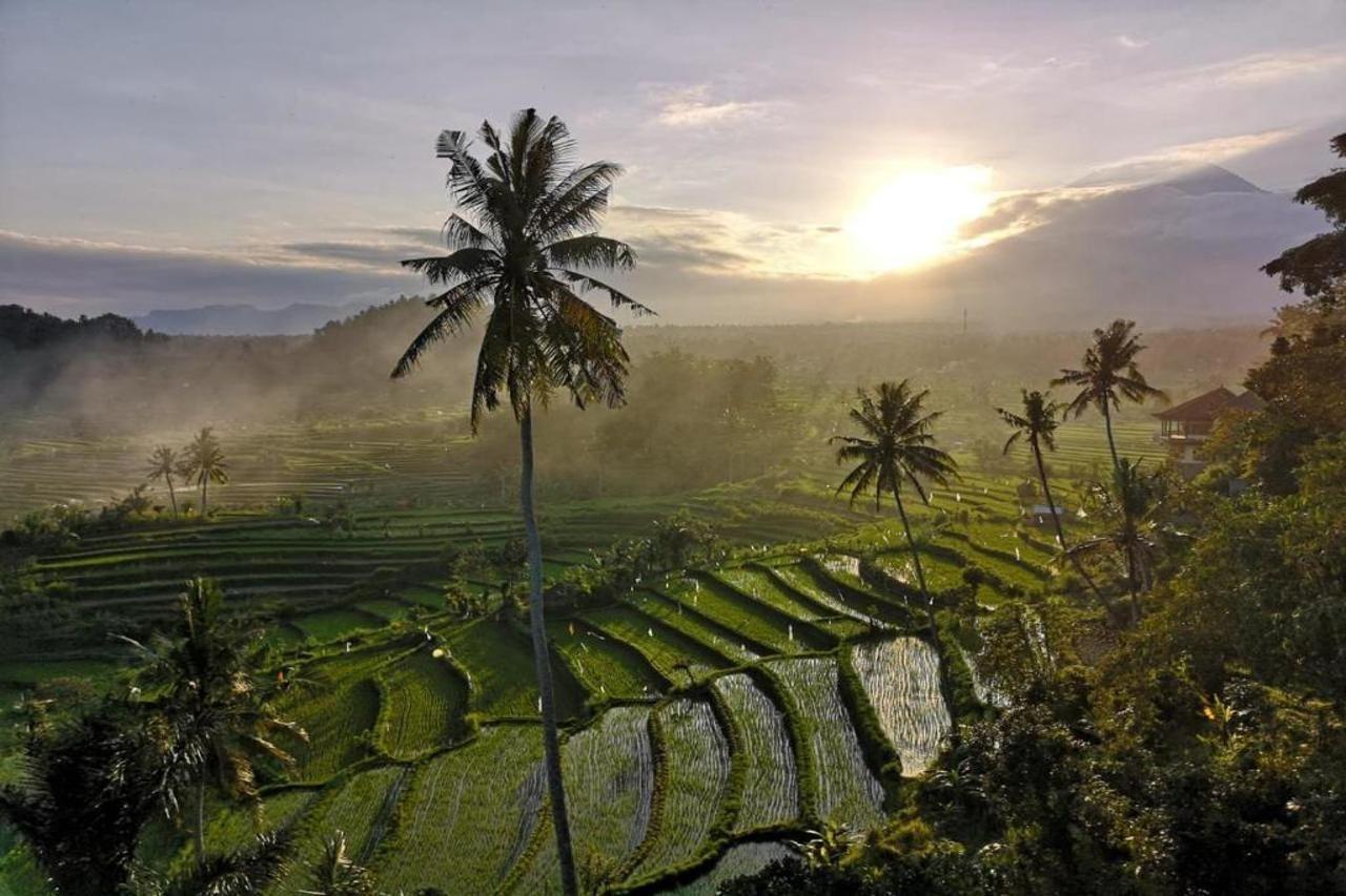 Villa Di Bias Karangasem  Luaran gambar